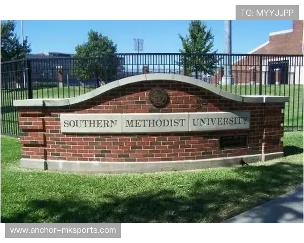 达拉·托雷斯斯坦福大学研究揭示新型新闻传播模式