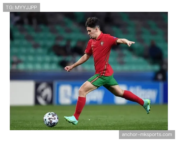 维蒂尼亚高价引进是否合理