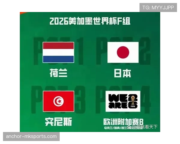 突尼斯冲击2026美加墨世界杯:出线前景与阵容挑战分析